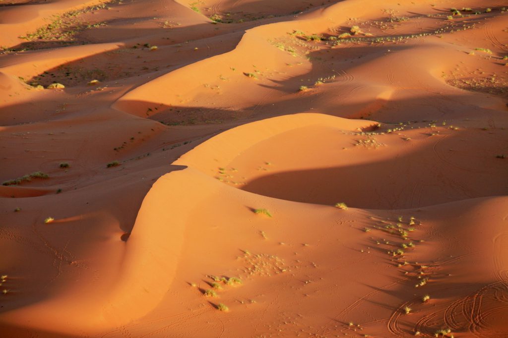Dünen im marokkanischen Teil der Sahara