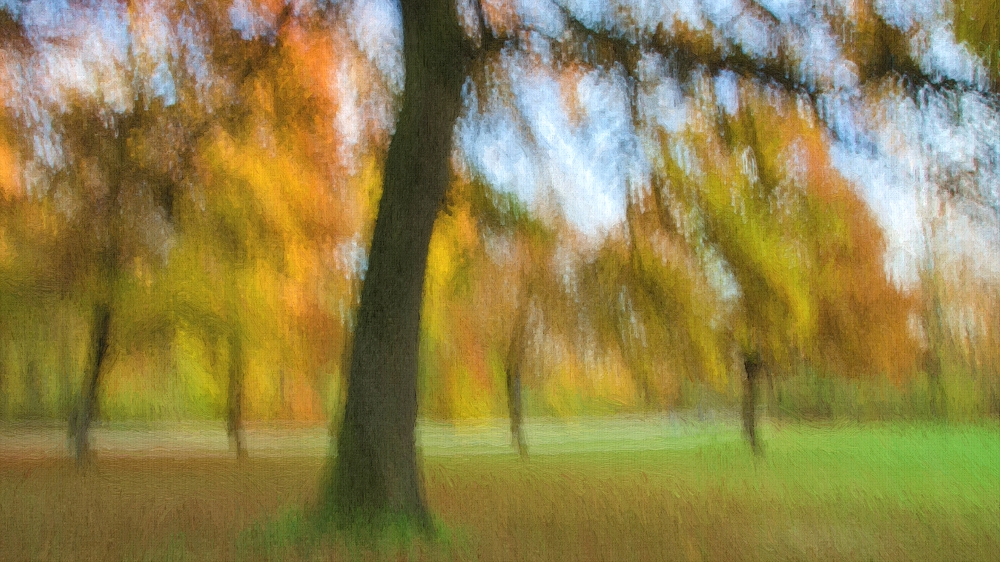 Englischer Garten Herbst